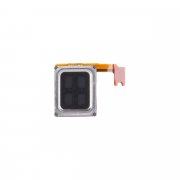 Динамик (speaker) для OPPO Reno 12 F 4G на шлейфе — 2